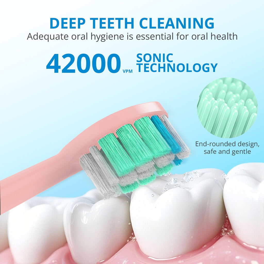 Powered Toothbrushes  USB Rechargeable Ultrasonic Tooth Brush, Smart Timer IPX7 Waterproof Cleaning Toothbrushes for Adults and Kids