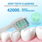 Powered Toothbrushes  USB Rechargeable Ultrasonic Tooth Brush, Smart Timer IPX7 Waterproof Cleaning Toothbrushes for Adults and Kids