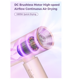 OmniRide High Speed Hair Dryer with 200 Million Negative Ions, Magnetic Nozzle, Cold Air & Argan Oil Coating, Lightweight Professional Blow Dryer for Fast Drying, Frizz Control, Home Salon Use